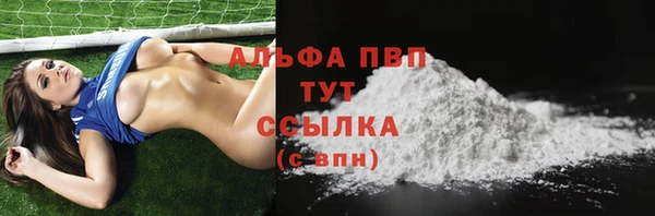spice Вяземский
