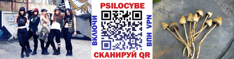 где продают наркотики  Елец  hydra вход  Псилоцибиновые грибы Psilocybine cubensis 